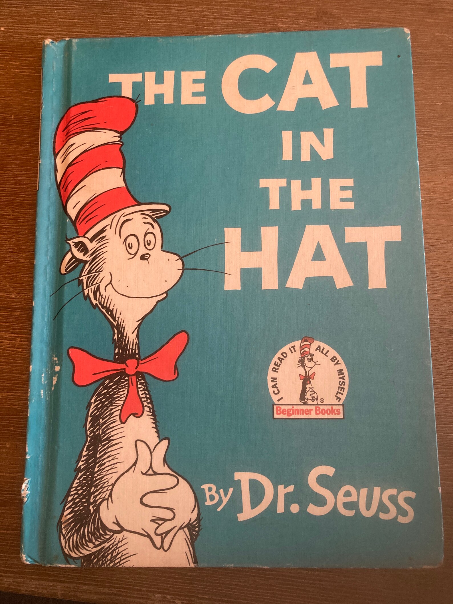 The Cat in the Hat | Etsy