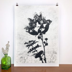 Nieuwe Roots lithografie print