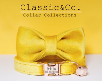 yellow kitten collar