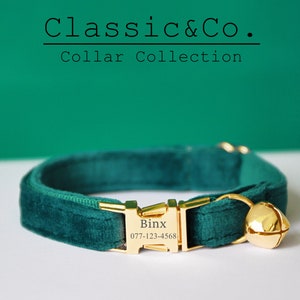 hermes cat collar