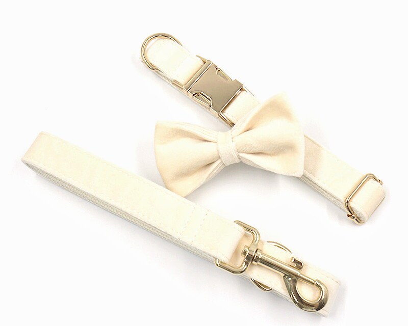 White Cream Velvet Puppy Collar Lead Bow Tie Set,Personalized Bridal Puppy Collar Leash Set for Big  Medium Small Pet,Gold Engraved Buckle
