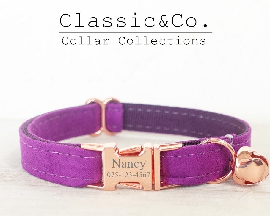 violet dog collar