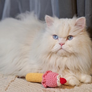 Katzenminze Eis Spielzeug für Katzen, gehäkelte Eistüte, Katzenminze Eis gehäkelt, Katzenminze Stick, Katzeneis Spielzeug, Geschenk für Katze,Katzen Geschenk