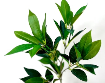 26” Green Shikibu Foliage Spray, Artificial Greenery Stem for Wreath Making or Faux Floral Arrangements, Wedding Greenery, Myrtle Stem