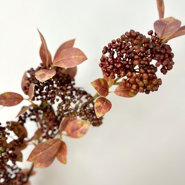 Artificial Seeding Skimmia Spray, Realistic Faux Floral Stems, Fall Berries for Wreath Making or Floral Arrangements, Plum Colored Autumn