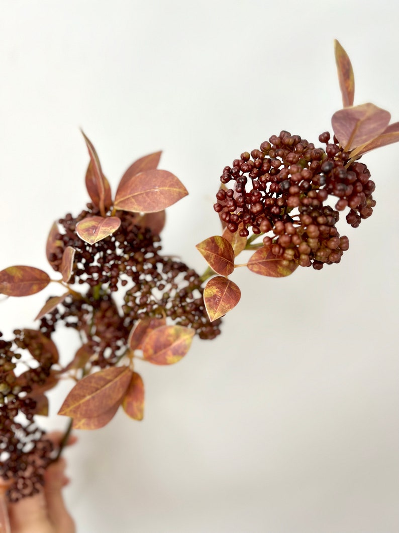 Artificial Seeding Skimmia Spray, Realistic Faux Floral Stems, Fall Berries for Wreath Making or Floral Arrangements, Plum Colored Autumn image 1