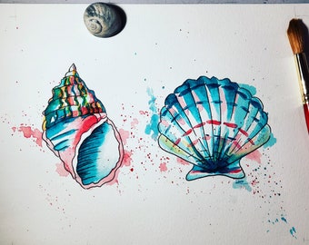 Summer Shells