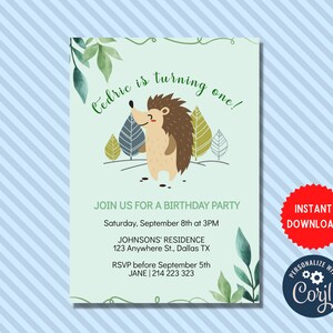 Invitation d’anniversaire de hérisson, invitation mignonne de célébration d’anniversaire, invitation modifiable personnalisée, téléchargement instantané de fête de hérisson, MLN51