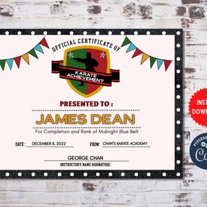 Karate Certificates, INSTANT DOWNLOAD Karate Belt Awards, Ninja Party Printable, Printable Martial Arts Acheivement, Karate Party, MLN145