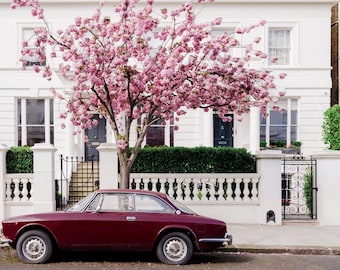 Vintage alfa romeo london print, cherry blossom spring street photography wall art