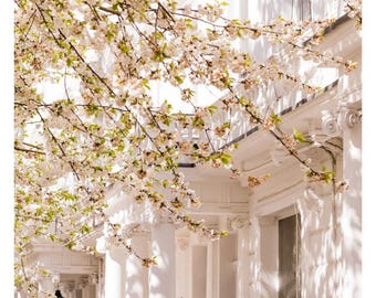 London cherry blossom street scene photography print – white spring flowers uk home decor