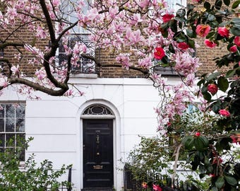 London fine art photography pink magnolia tree blossom spring home decor wall print