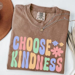 Wählen Sie Freundlichkeit T-Shirt, Komfortfarben T-Shirt, Positivität Shirt, süßes Lehrer Shirt, Be Kind T-Shirt, Zurück zu Grundschule Shirt, Lehrer T-Shirt