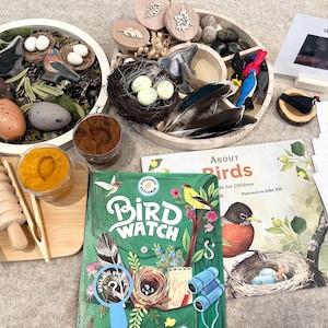 Kit oiseaux exclusif Montessori, oiseaux tropicaux d'arrière-cour, ensemble d'activités sensorielles assorties aux cartes oiseaux, enseignement à domicile, activité préscolaire