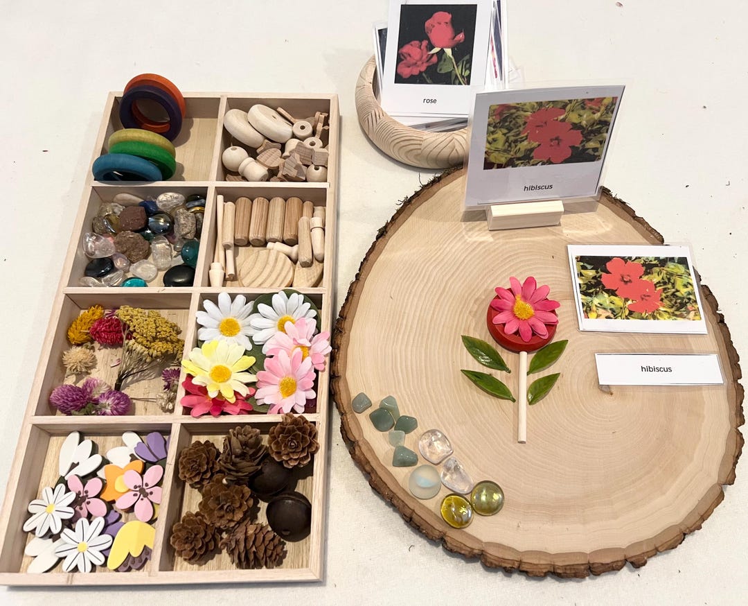 Montessori Flower Learning Kit , Sensory Activity, Educational Kit ...