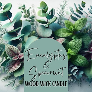 Eucalyptus & Spearmint scented Wood Wick Soy Candle sinus relief essential oil scents local seller top selling
