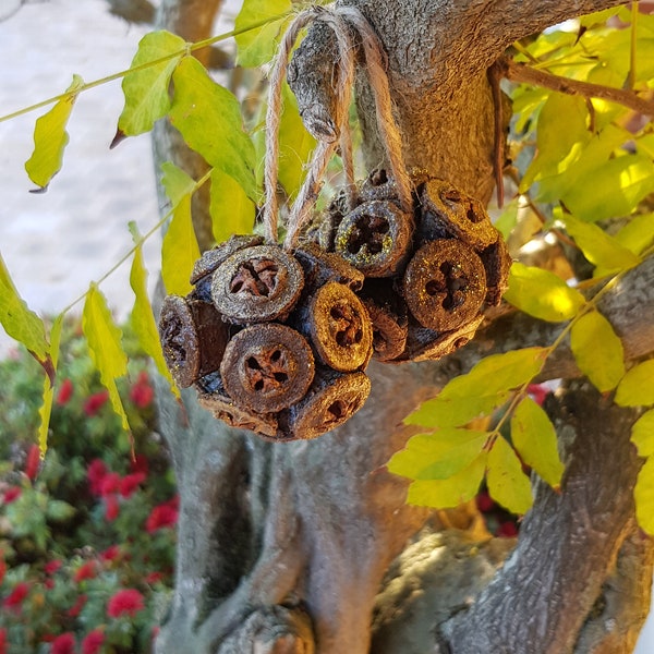 Perles d'eucalyptus, boules à suspendre en fruits d'eucalyptus.