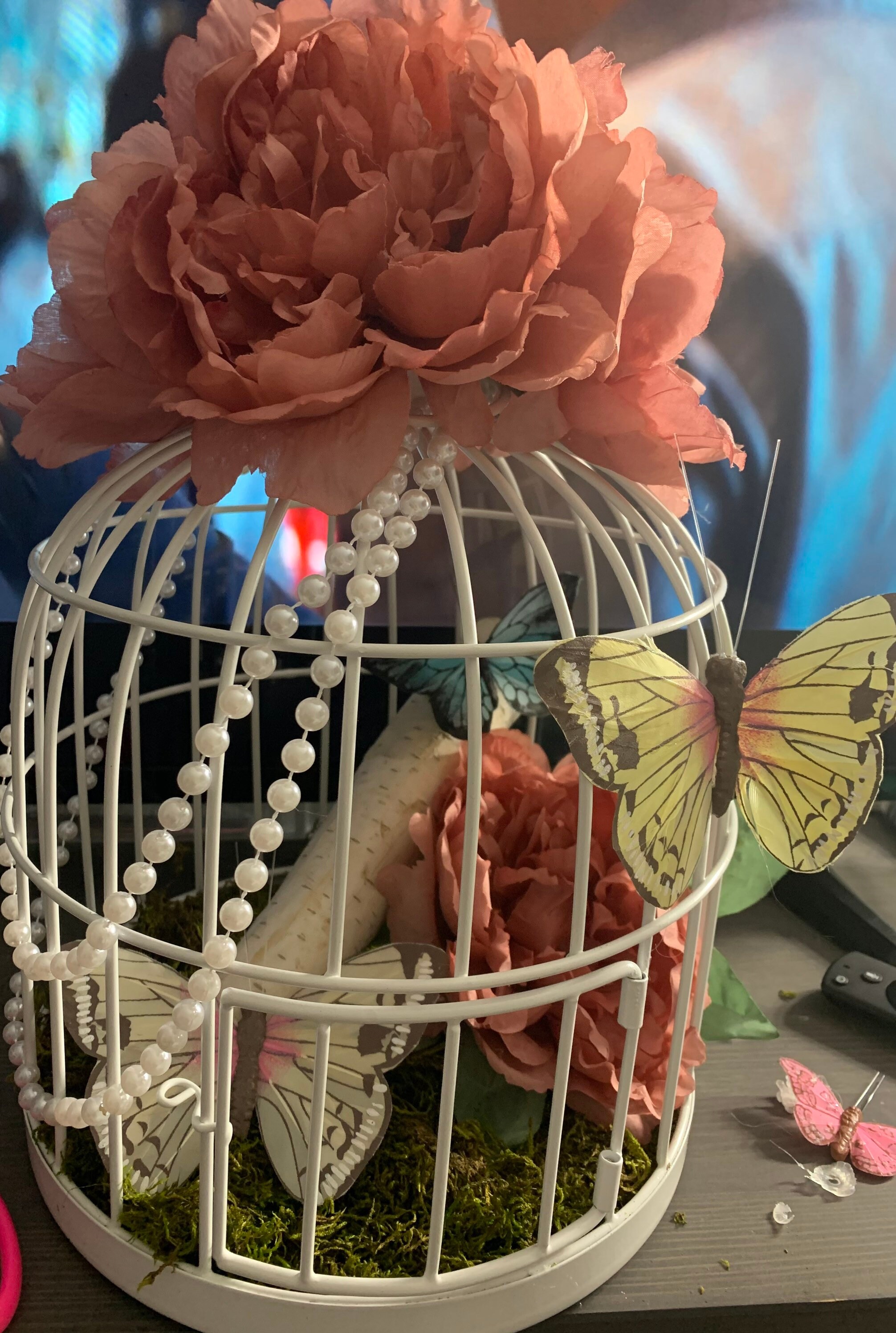 Butterflies in the CageGarden Cage Metal Bird Cage With Etsy