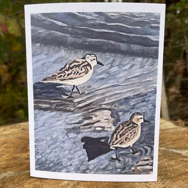 Piping Plovers on Pine Point Greeting Card, birds, maine, coastal maine art, beach, ocean, waves