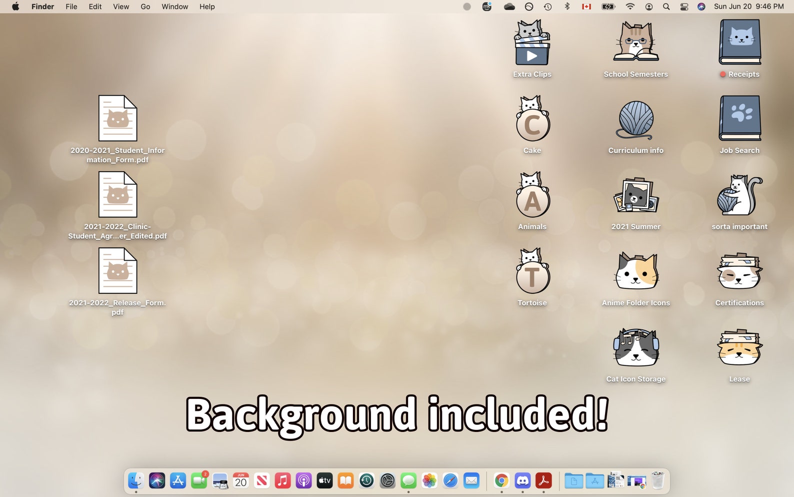 Cute Cat Folder Icons Neutral Denim Windows and Macos Digital Download