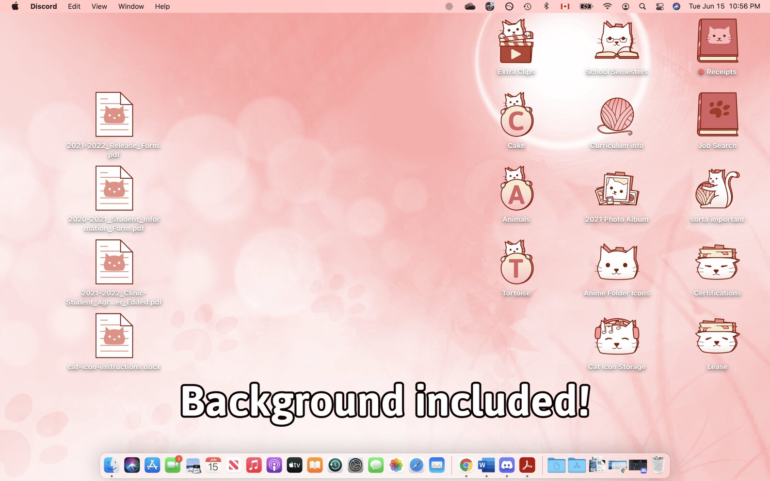 Cute Cat Folder Icons Windows and Macos Digital Download Desktop