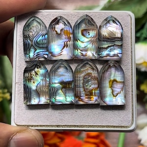 Puede incluir: Ocho cabujones de concha de abulón pulidos en forma de arco, dispuestos en dos filas de cuatro sobre una base gris claro. Cada pieza presenta un patrón iridiscente único de remolinos azules, verdes, morados y marrones con acabado brillante.