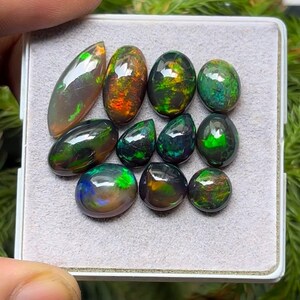 May include: A collection of polished black opals with vibrant internal colors of green, orange, and blue. The opals are displayed in a gray rectangular tray, showcasing their unique patterns and iridescence. The gemstones vary in shape and size.