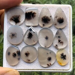 May include: A collection of 12 agate cabochons with dendritic patterns in shades of gray and black. The cabochons are arranged in a white box with a white background.