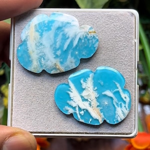 Può includere: Due cabochon lucidati a forma di nuvola in pietra turchese blu brillante con intricate inclusioni dendritiche bianche ramificate. Le pietre hanno una superficie liscia e lucida e sono esposte su un vassoio quadrato grigio chiaro rivestito in feltro.
