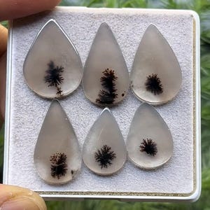 May include: Six teardrop-shaped gemstones with dendritic inclusions. The stones are translucent with a milky white base and feature intricate black, fern-like patterns within. They are arranged in a rectangular container.