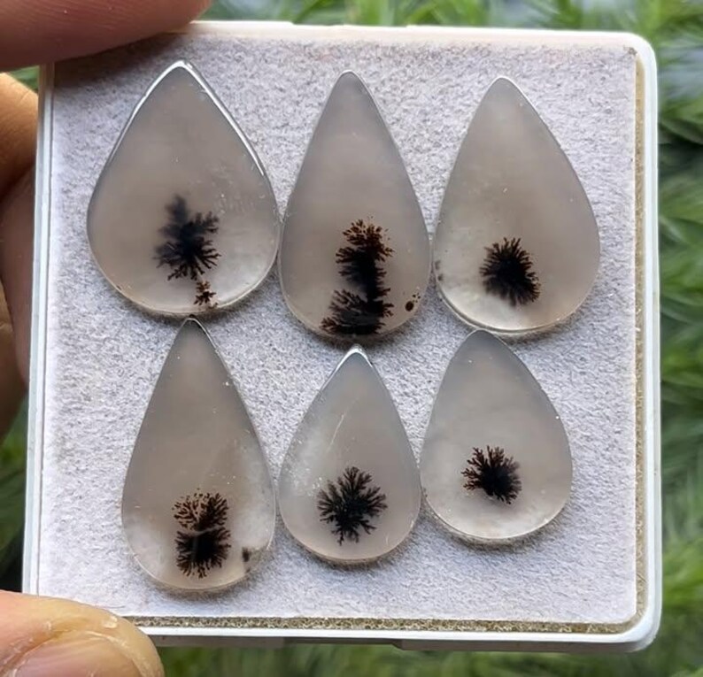 May include: Six teardrop-shaped gemstones with dendritic inclusions. The stones are translucent with a milky white base and feature intricate black, fern-like patterns within. They are arranged in a rectangular container.