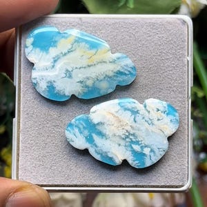 Può includere: Due cabochon lucidati a forma di nuvola caratterizzati da un colore di base blu cielo vibrante con intricate inclusioni dendritiche ramificate bianche e giallo pallido che creano un motivo naturale e marmorizzato sulle superfici lisce.