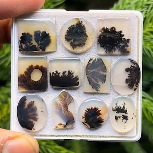 May include: A collection of polished dendritic agate gemstones in various shapes, including squares, circles, and ovals. The stones feature intricate black and brown fern-like inclusions against a translucent, creamy background. The gemstones are displayed in a white tray.