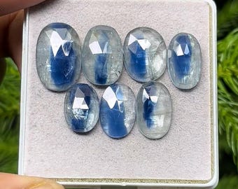 Bio Kyanite Rose Cut Slices: Flat Back Mix, 12-17mm, 7-Piece Lot