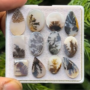 May include: A collection of dendritic agate gemstones in various shapes, including oval, teardrop, and rectangular. The stones feature intricate, tree-like patterns in shades of brown and gray against a translucent, creamy white background. The gemstones are displayed in a white tray.