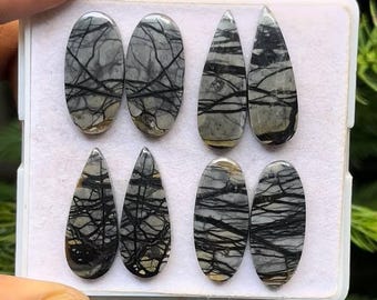 May include: A collection of eight polished gemstones in various shapes: oval, teardrop, and pointed. The stones are primarily gray with intricate black veining patterns, set against a white background. The gemstones are held in a white tray.