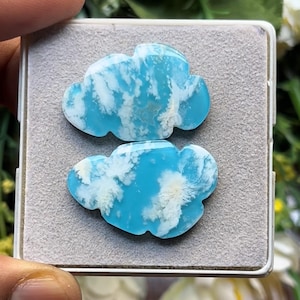 Könnte beinhalten: Zwei polierte, wolkenförmige Edelsteine mit einer leuchtend himmelblauen Grundfarbe und komplexen, verzweigten weißen Mineraleinschlüssen, die an zarte Wolken erinnern. Die Steine sind glatt, flach und auf einer grauen Schaumstoffeinlage platziert.