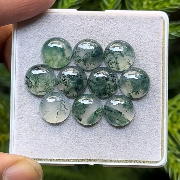 Moss Agate Cabochons: 10mm Round Gemstone, 10 Piece Lot
