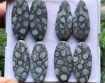 Puede incluir: Ocho cabujones de coral fosilizado en varias formas ovaladas y de lágrima. Los cabujones son una mezcla de gris y blanco con un patrón de remolino.