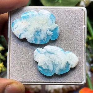 Könnte beinhalten: Zwei wolkenförmige, polierte Edelsteine mit einer leuchtend himmelblauen Grundfarbe und komplexen, verzweigten weißen dendritischen Einschlüssen, die an zarte Frostmuster erinnern, präsentiert auf einer hellgrauen, strukturierten Schaumstoffeinlage.