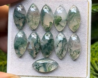 Cabochões de ágata musgosa: formato marquise, 8 x 16 mm, lote com 11 peças