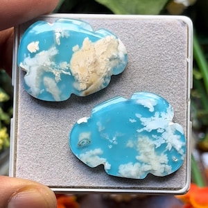 Op de afbeelding: Twee gepolijste, wolk-vormige cabochons met een levendige hemelsblauwe basiskleur en complexe, melkwitte en crèmekleurige dendritische insluitingen die lijken op ijle wolkenformaties, samen gepresenteerd in een vierkante grijze displaydoos.