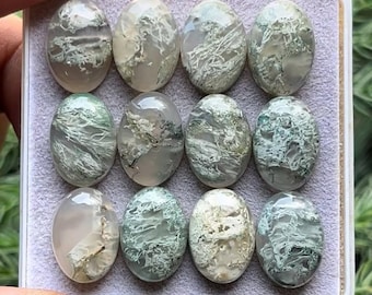 Cabochões ovais de ágata musgosa: lote de pedras preciosas de 10 x 14 mm (11 peças)