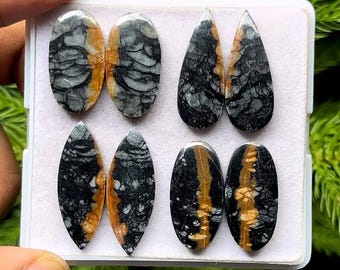 May include: A collection of six polished gemstones in various shapes: oval, teardrop, and leaf. The stones feature a striking pattern of black and gray veining with accents of golden-brown. The gemstones are displayed in a white plastic tray.