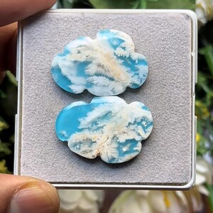 Könnte beinhalten: Zwei polierte, wolkenförmige Cabochons mit einer leuchtend himmelblauen Grundfarbe und komplexen, verzweigten weißen dendritischen Einschlüssen, die an zarte Frostmuster oder dünne Wolken erinnern, präsentiert auf einer hellgrauen Einlage.