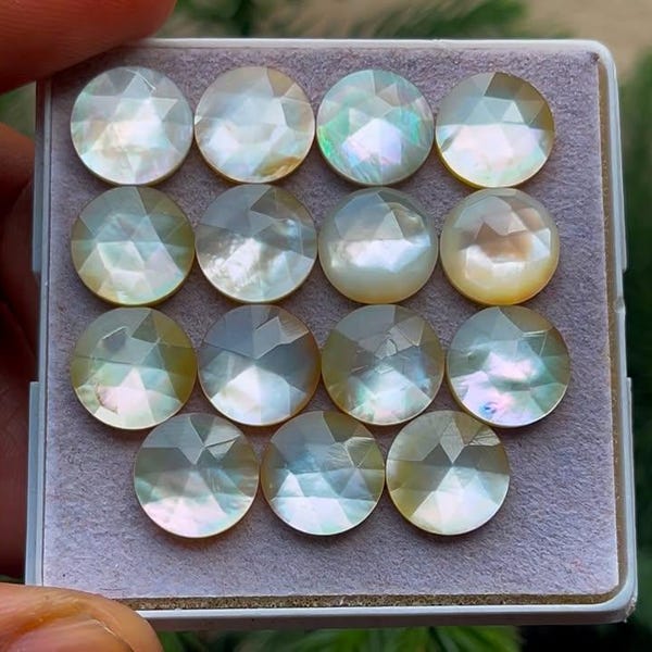 Natural Mother of Pearl Round Rose Cut Slices: 10x10mm, 15 Piece Lot