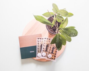 Fauna All-Purpose Cleaning Refills. Three-pack.