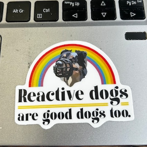 May include: A sticker with a rainbow background and a black and white dog wearing a muzzle. The text reads "Reactive dogs are good dogs too."