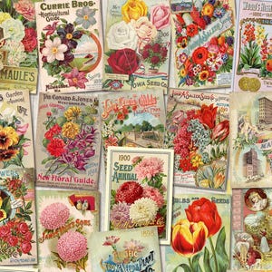 Mini-Buchhülle Vintage Samen-Kataloge | Druckbares Junk Journal Kit | Samen Paket Shabby Chic Ephemera | Blumen Garten digitale Bücher Cover