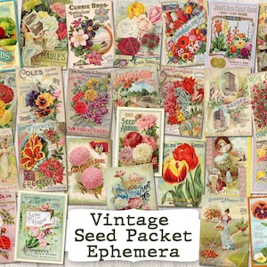 Efímeros de semillas vintage, descarga digital, papeles florales, kit de diario de recortes, paquetes de semillas imprimibles, libros